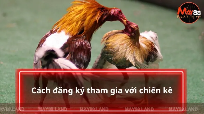 Cách đăng ký tham gia với chiến kê