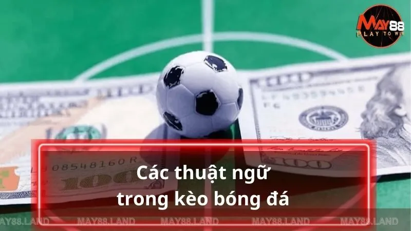 Cẩn thận nắm bắt những thuật ngữ phổ biến thường xuất hiện