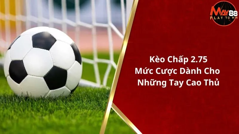 Kèo Chấp 2.75 - Mức Cược Dành Cho Những Tay Cao Thủ