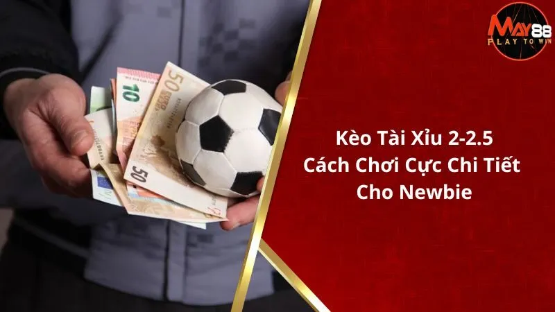 Kèo Tài Xỉu 2-2.5 - Cách Chơi Cực Chi Tiết Cho Newbie