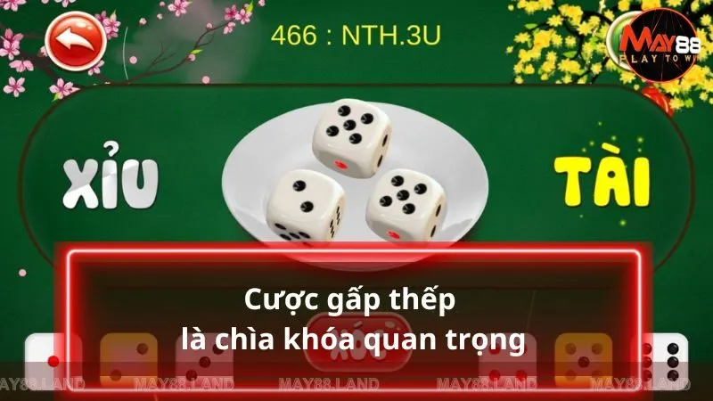 Cược gấp thếp là chìa khóa quan trọng