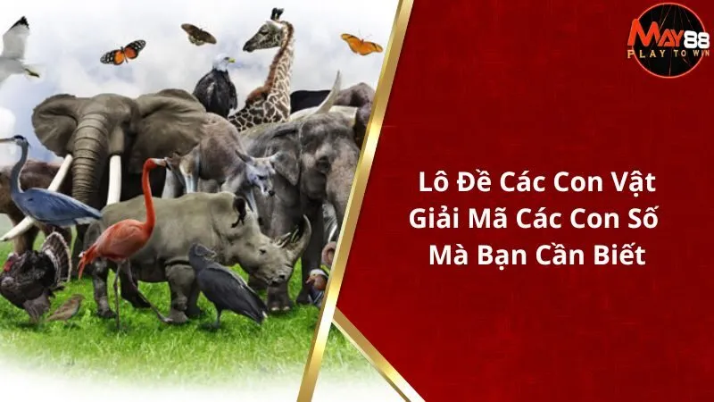 Lô Đề Các Con Vật - Giải Mã Các Con Số Mà Bạn Cần Biết