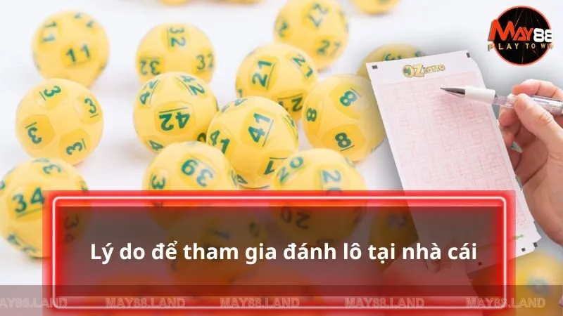 Lý do để tham gia đánh lô tại nhà cái